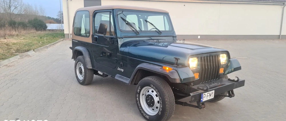 Jeep Wrangler cena 46000 przebieg: 123660, rok produkcji 1994 z Ruda Śląska małe 172